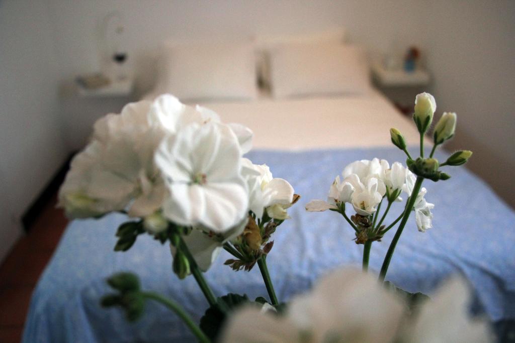 A Casa Da Arvore Bed & Breakfast วิลานอวา ดิ มิลฟงติส ห้อง รูปภาพ