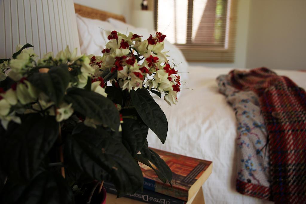 A Casa Da Arvore Bed & Breakfast วิลานอวา ดิ มิลฟงติส ห้อง รูปภาพ