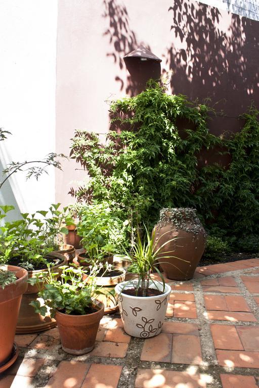 A Casa Da Arvore Bed & Breakfast วิลานอวา ดิ มิลฟงติส ภายนอก รูปภาพ